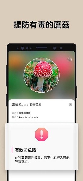 蘑菇识别扫一扫截图2