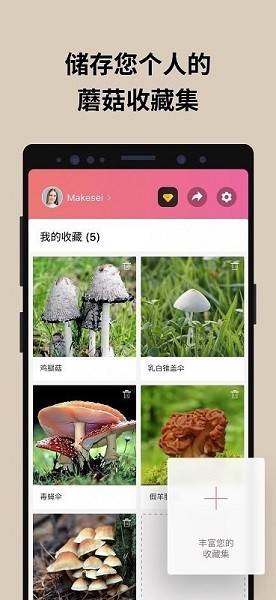 蘑菇识别扫一扫截图1