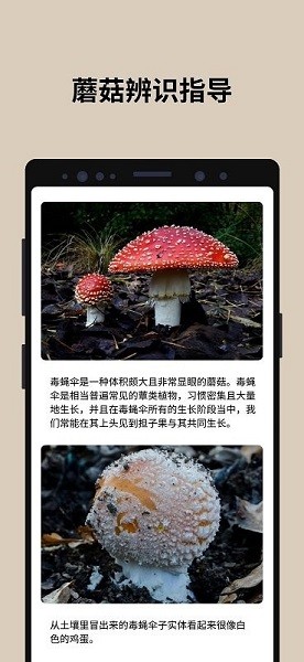 蘑菇识别扫一扫截图3