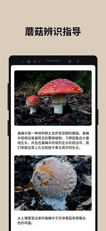 PictureMushroom安卓版截图1