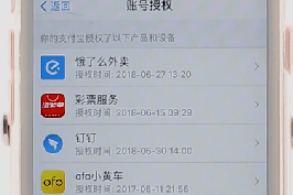 支付宝app查看授权的基础操作是什么图8