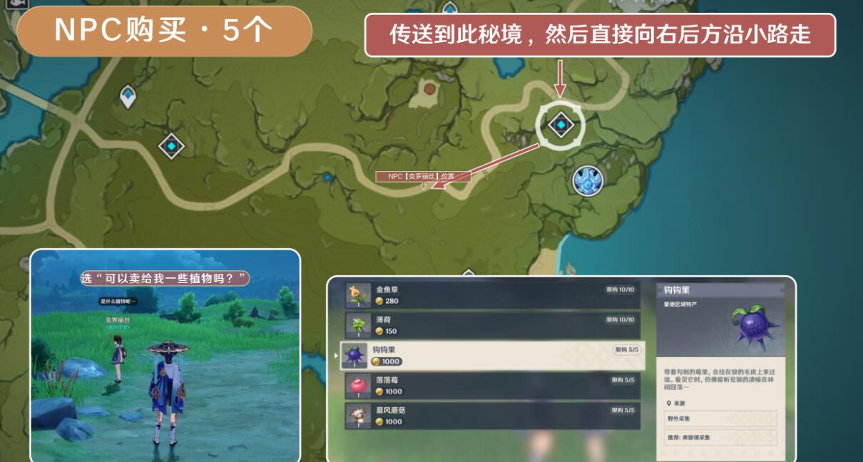 原神3.8版本钩钩果效率采集路线分享图8