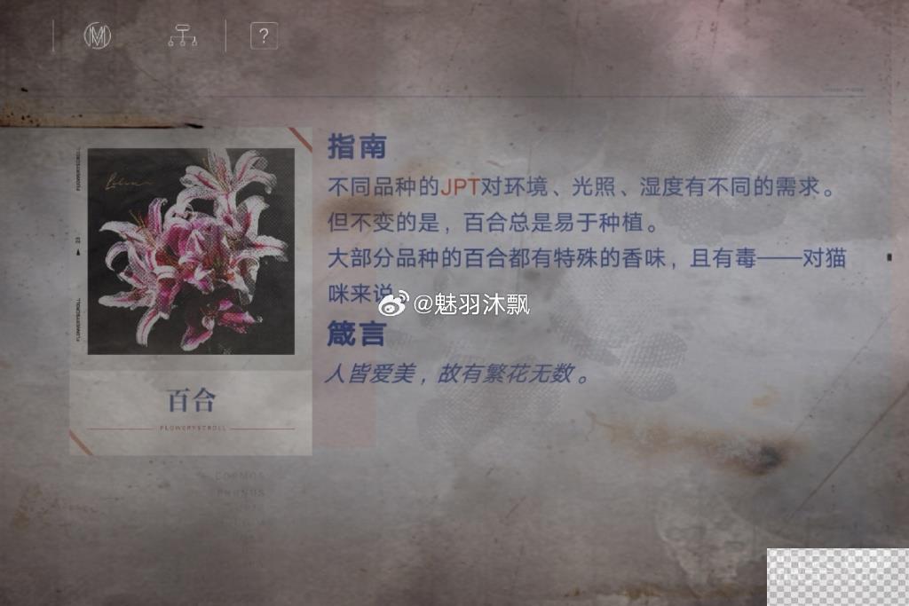 无期迷途花笺密文答案一览图8