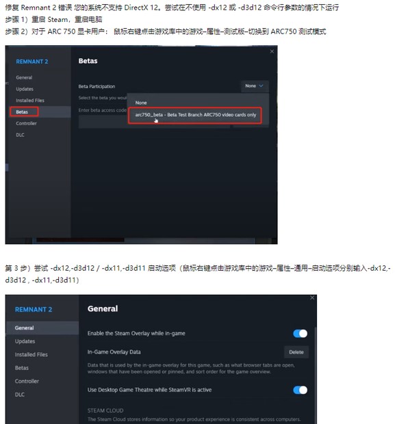 遗迹2DX12报错怎么办图1