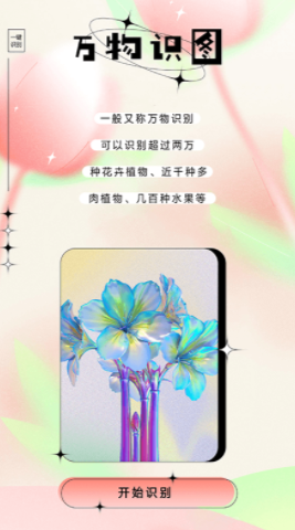 万物识图大师免费版app截图