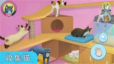 我的宠物猫模拟器最新版截图3