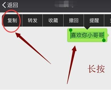 iphone15pro怎么复制粘贴 苹果15pro复制粘贴教程一览图5