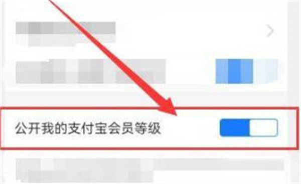 支付宝怎么隐藏会员等级 支付宝设置不显示会员等级方法介绍图3