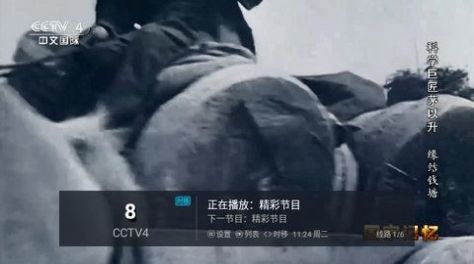 樟树TV免费版截图1