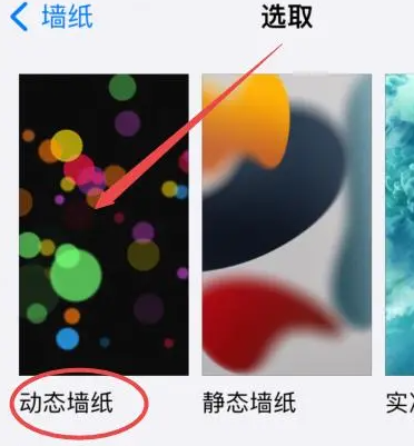 iPhone15ProMax在哪设置动态壁纸 更换壁纸方法介绍图3