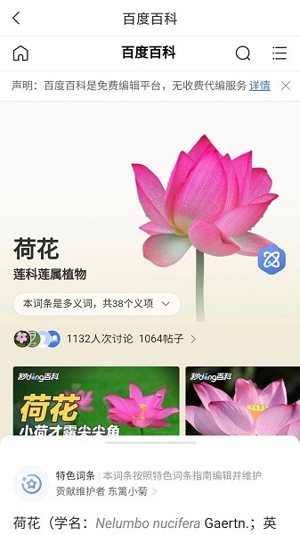 拍照识物最新版截图3