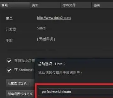 dota2国服启动项设置方法介绍图4