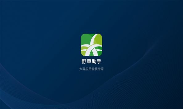 野草助手口令大全盒子版最新版截图3