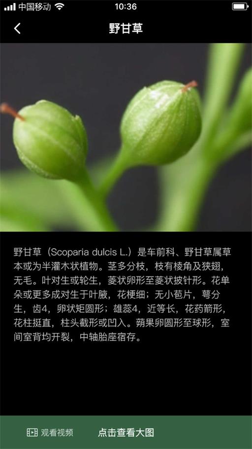 积学草最新版截图1