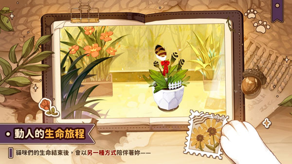 Losing Cats Way最新版图1