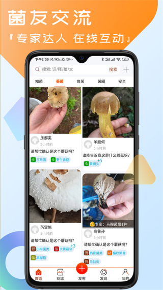 菌窝子识别菌子手机版免费版截图1